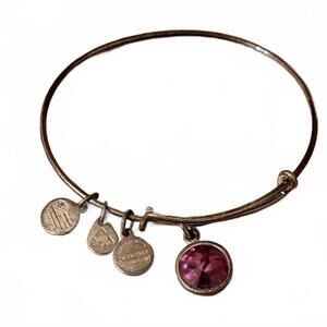 Alex and Ani Ruby Color July Birthstone Bangle Bracelet